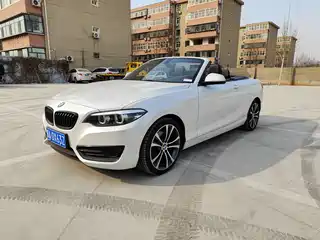 BMW 2 Series (Import) 2019