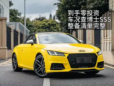 Audi TTS 2018