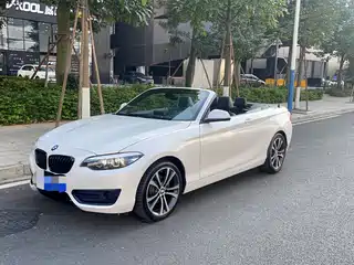 BMW 2 Series (Import) 2019