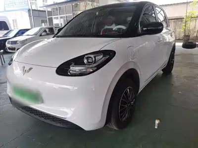 Wuling Motors Bingo 2024