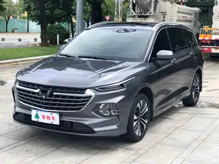 Wuling Motors Wuling Victory 2020
