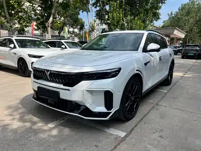 Voyah Auto FREE 2024