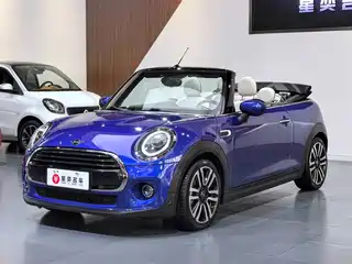 MINI MINI 2020