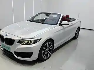 BMW 2 Series (Import) 2019
