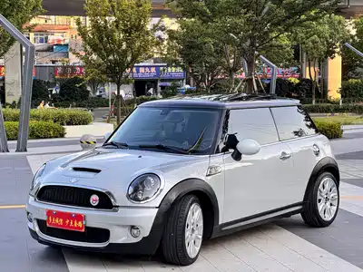 MINI MINI 2010
