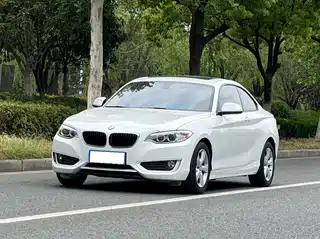 BMW 2 Series (Import) 2014