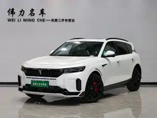 Voyah Auto FREE 2024