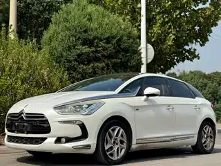 DS 5 2013