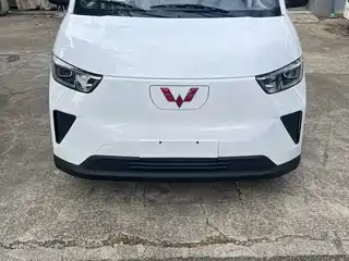 Wuling Motors Wuling Yangguang 2024
