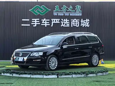 Volkswagen Magotan (Import) 2010