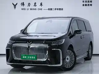 Voyah Auto Dreamer 2024