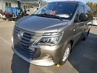 Dongfeng Fengxing Lingzhi 2021