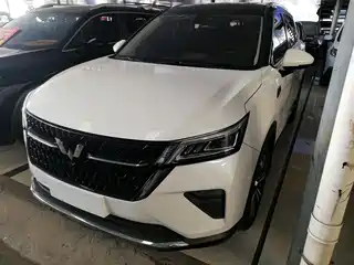 Wuling Motors Wuling Xingchen 2021
