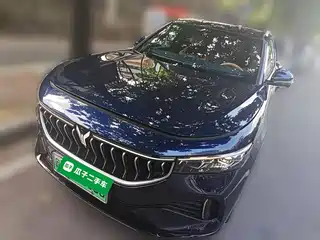 Voyah Auto FREE 2021