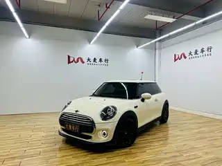 MINI MINI 2020