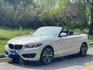 BMW 2 Series (Import) 2019