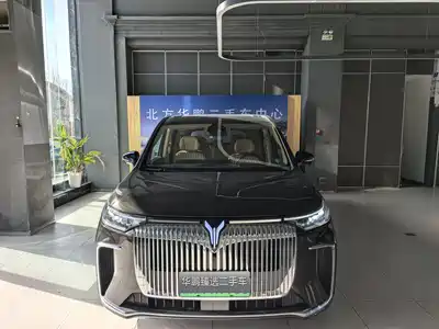 Voyah Auto Dreamer 2024