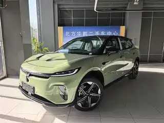 Voyah Auto Voyah Zhiyin 2024