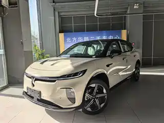 Voyah Auto Voyah Zhiyin 2024