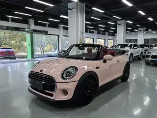 MINI MINI 2020