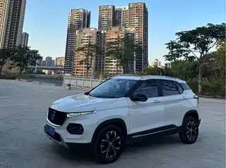 Baojun 510 2019