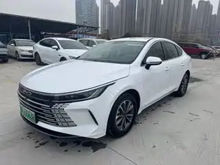 BYD Destroyer 05 2024