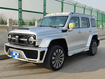 Crossboundary Auto Co-created Tank 300 2022