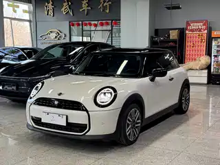 MINI MINI 2025