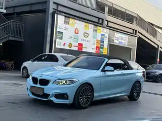 BMW 2 Series (Import) 2015