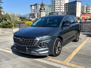 Wuling Motors Wuling Victory 2020