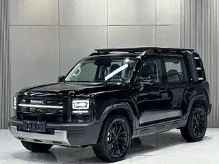 Haval Meng Long NEV 2025