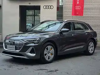 Audi Audi e-tron 2021