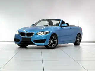 BMW 2 Series (Import) 2017