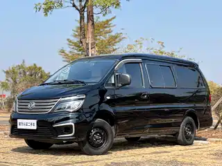 Dongfeng Fengxing Lingzhi 2020