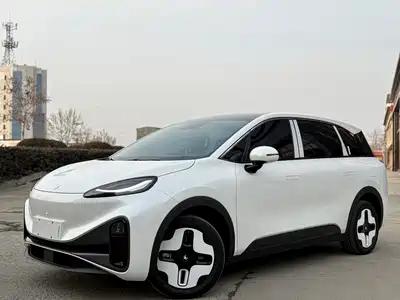 ARCFOX Koala S 2025