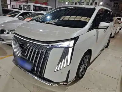 GAC Trumpchi M8 2024