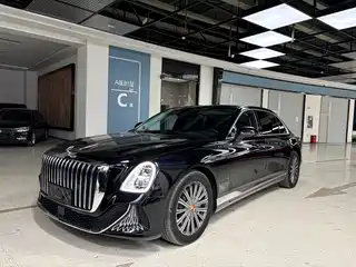 Hongqi Guoya 2024