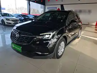 Buick Envision Plus 2019