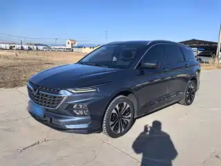 Wuling Motors Wuling Victory 2020
