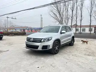 Volkswagen Tiguan 2013