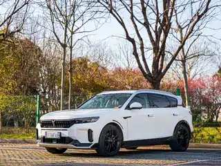 Voyah Auto FREE 2023