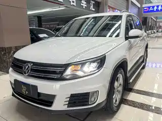 Volkswagen Tiguan 2013