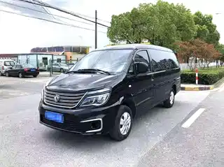 Dongfeng Fengxing Lingzhi 2020