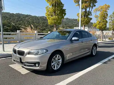 BMW 5 Series (Import) 2015