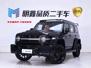 Crossboundary Auto Co-created Tank 300 2023