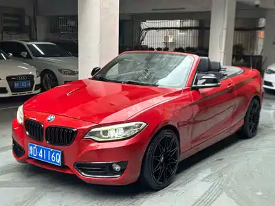 BMW 2 Series (Import) 2017