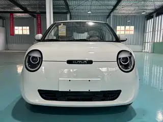 Changan Qiyuan Lumin 2024
