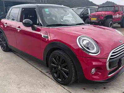MINI MINI 2019