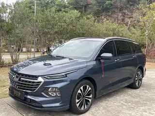 Wuling Motors Wuling Victory 2020