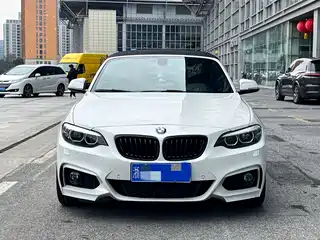 BMW 2 Series (Import) 2019